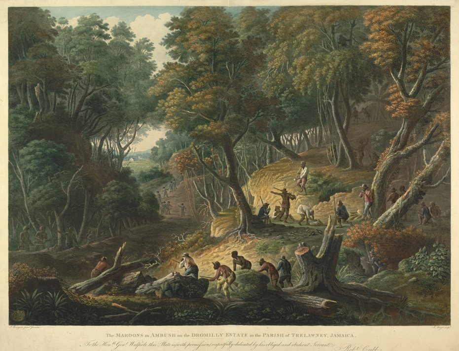 The Maroons In Ambush On The Dromilly Estate In The Parish Of Trelawney, Jamaica. Photo Credit: © Public Domain via Wikimedia Commons.